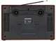 Радиоприемник Ritmix RPR-102, коричневый вид 4