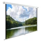 Экран Cactus WallExpert CS-PSWE-240x150-WT вид 1
