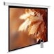 Экран Cactus MotoExpert CS-PSME-300x188-WT вид 1
