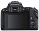 Зеркальный фотоаппарат Canon EOS 250Dа вид 9