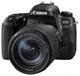 Зеркальный фотоаппарат Canon EOS 77D вид 1