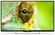 Телевизор 32" Polarline 32PL14TC-SM вид 1