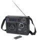--- Радиоприемник Ritmix RPR-888 (FM/AM/SW, USB/SD, ПДУ, от сети/4xD) Б/У, Потёртости 9/10 вид 2