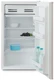 Холодильник Бирюса M90 вид 5