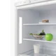 Холодильник Бирюса 6041 вид 4