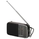 Радиоприемник SOUNDMAX SM-RD2101 вид 1