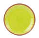 Тарелка обеденная Fioretta WOOD GREEN 27см вид 1