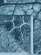 Полотенце Донецкая Мануфактура GREEN WORLD 50х90 см, махра вид 2