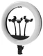 Кольцевая лампа Ritmix RRL-360 вид 1