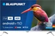 Телевизор 32" BLAUPUNKT 32FBC5010T вид 1