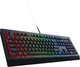 Клавиатура игровая Razer Cynosa V2, черный вид 4